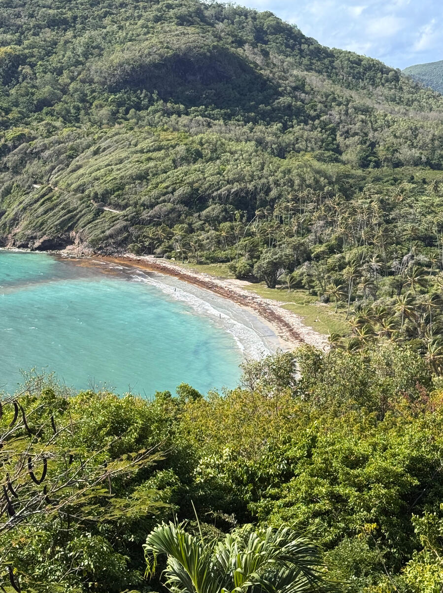 Spring Bay View looking from the balcony down to Spring Bay. Turquoise blue water surrounded by lush green vegetation